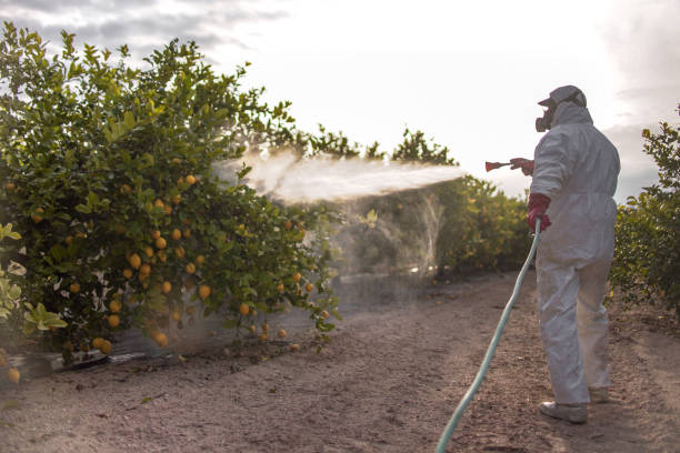 Best Rat Extermination Near Me  in Fort Pierre, SD