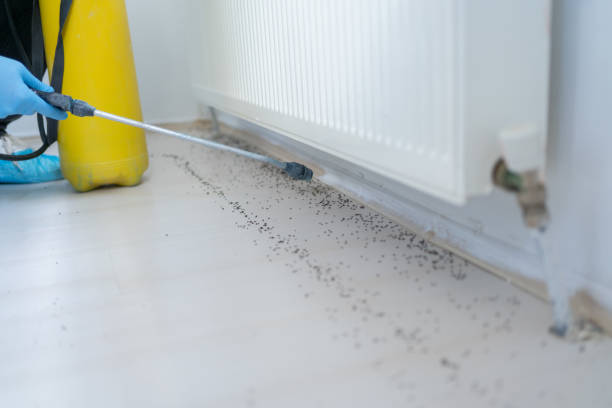 Best Pest Prevention Services  in Fort Pierre, SD